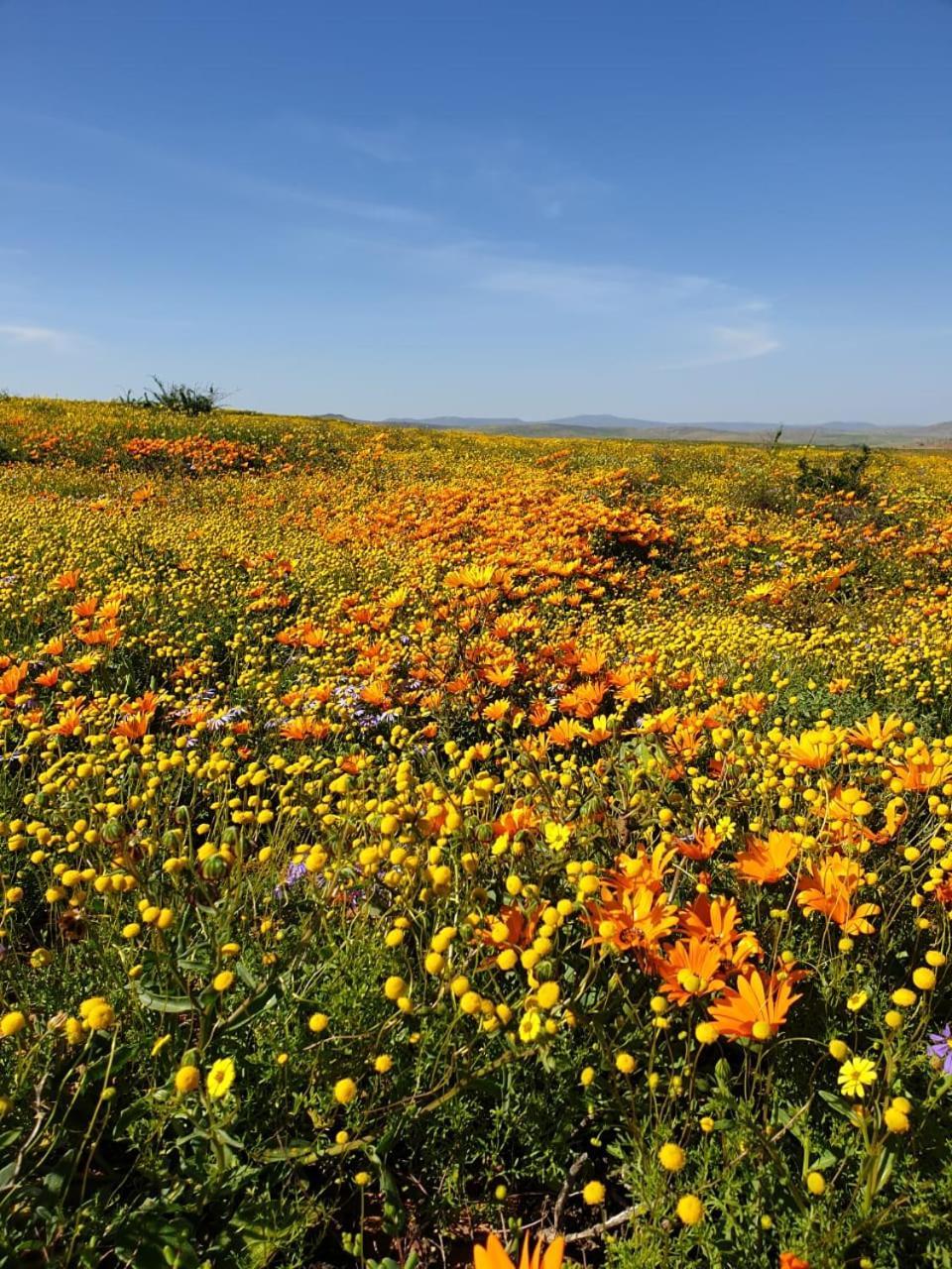 Namaqualand Eco Lodge Soebatsfontein Luaran gambar